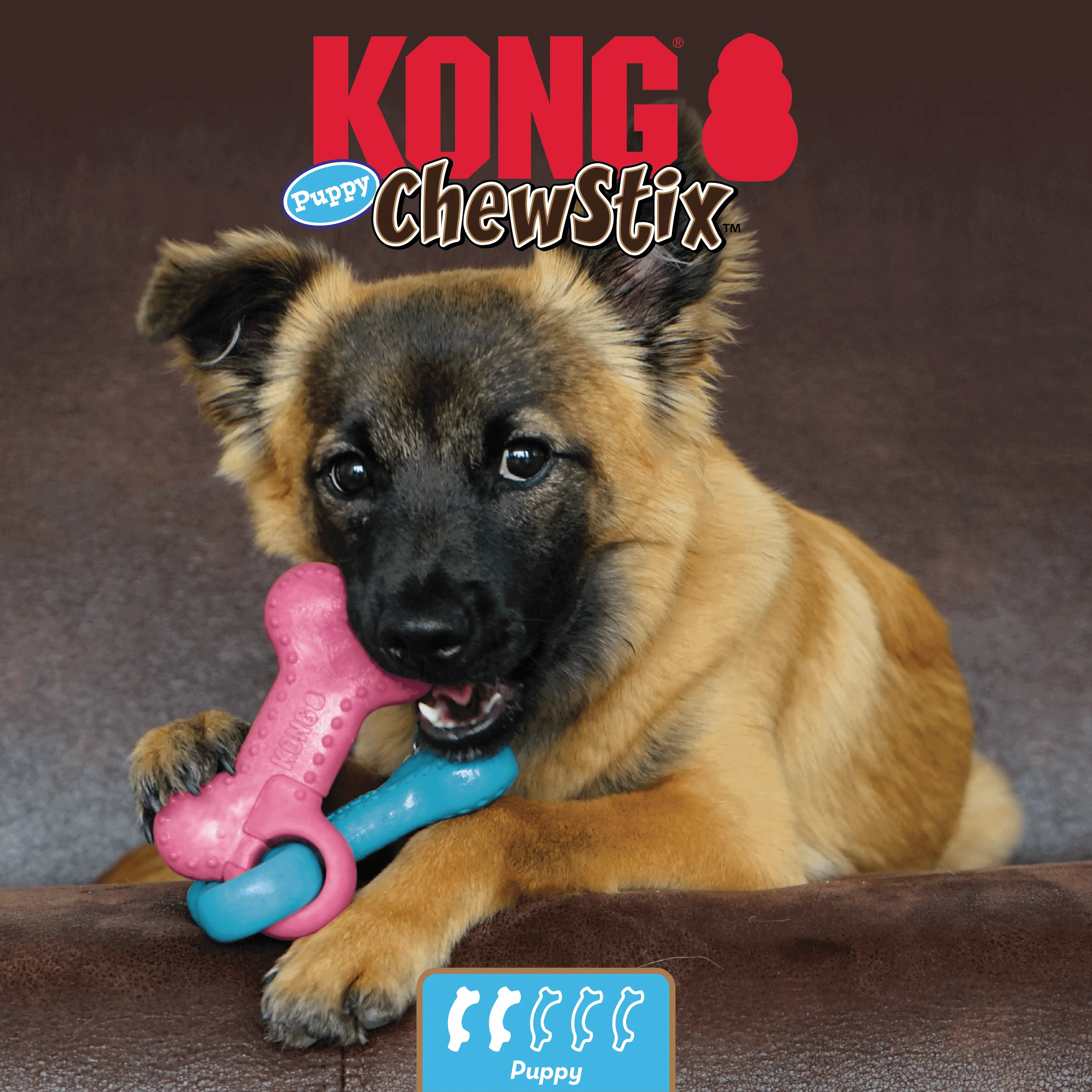 KONG - ChewStix Link Bone (For Puppies)