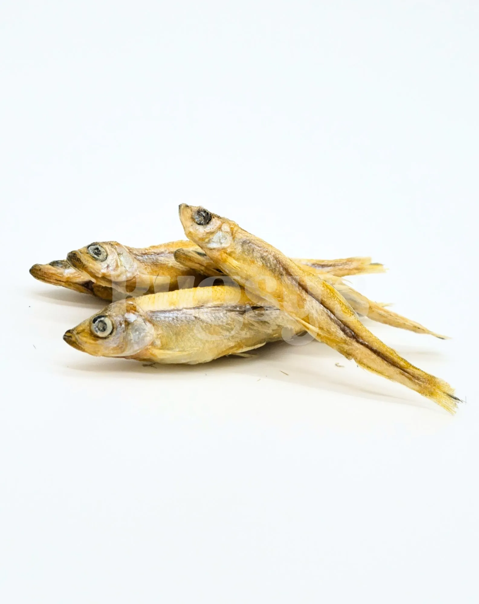 Little Fish | Whitebait