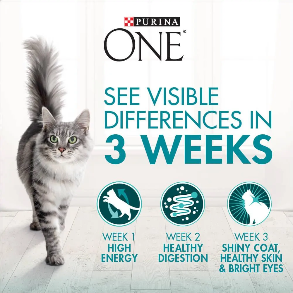 Purina One Adult Urinary Care Chicken Dry Cat Food