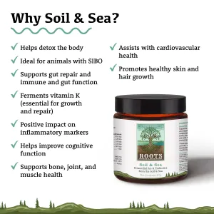 Soil & Sea | Primordial Pre & Probiotics